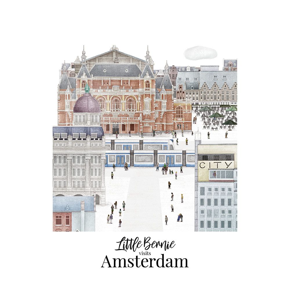 Shop-_0031_Little Bernie Framed Print Leidse square